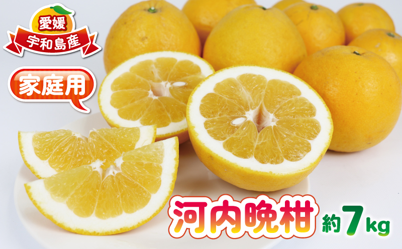 さわやかみかん 河内晩柑 家庭用 7kg 河野農園 先行予約 さわやか柑橘 晩柑 愛媛みかん 和製 グレープフルーツ 果物 くだもの フルーツ 柑橘 みかん 蜜柑 mikan ジューシー 爽やか くだもの 農家直送 産地直送 数量限定 国産 愛媛 宇和島 B010-147001