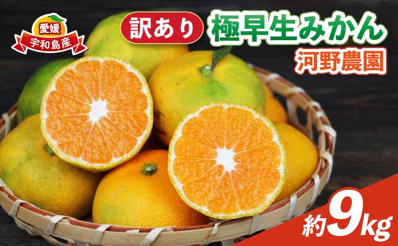 訳あり 極早生みかん 9kg 河野農園 先行予約 極早生 みかん 温州みかん 温州 蜜柑 mikan さっぱり 爽やか 爽やかみかん さわやか柑橘 愛媛みかん 愛媛蜜柑 果物 くだもの フルーツ おすすめ 柑橘 農家直送 産地直送 数量限定 先行予約 国産 愛媛 宇和島 B010-147002