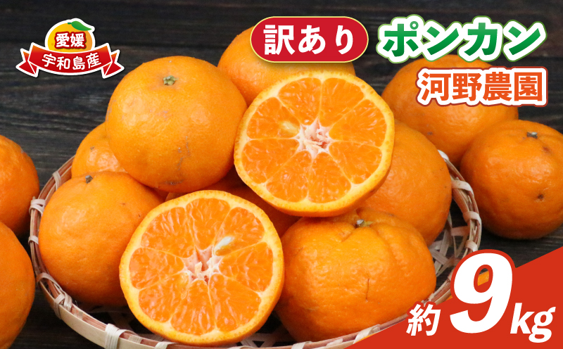 訳あり ポンカン 9kg 河野農園 わけあり みかん 蜜柑 mikan 愛媛みかん 愛媛ミカン 愛媛蜜柑 宇和島みかん ぽんかん 甘い 濃厚 人気 品種 果物 くだもの フルーツ おすすめ 柑橘 農家直送 産地直送 数量限定 先行予約 国産 愛媛 宇和島 B010-147005