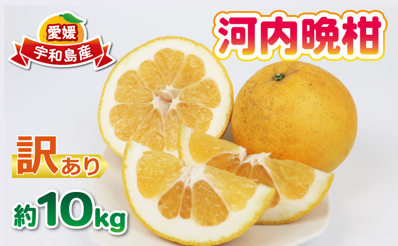 愛媛みかん 河内晩柑 訳あり 10kg  清五郎農園 サイズ 不揃い 果物 フルーツ 柑橘 みかん 晩柑 かわちばんかん 和製 グレープフルーツ 蜜柑 mikan ミカン 爽やか 愛媛ミカン 果物 くだもの 産地直送 農家直送 数量限定 国産 愛媛 宇和島 B010-156001