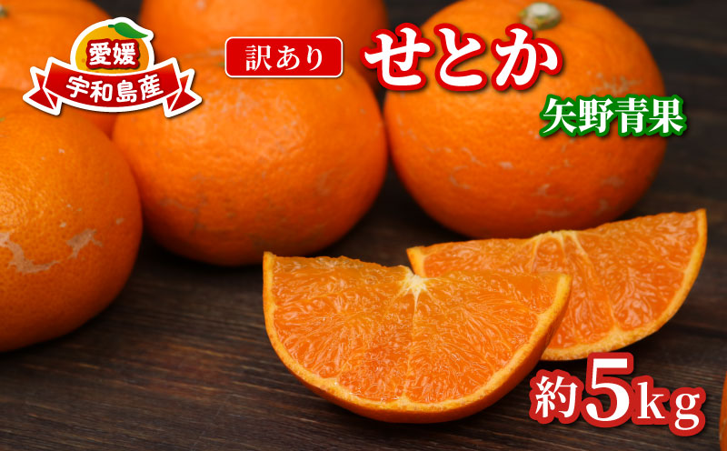訳あり せとか 矢野青果 5 kg 先行予約 サイズ 不揃い みかん 高級柑橘 柑橘の 大トロ 愛媛ミカン 愛媛蜜柑 mikan 柑橘 果物 くだもの フルーツ 高級 ブランド 濃厚 甘い 甘味 蜜柑 産地直送 数量限定 国産 愛媛 宇和島 B010-171032