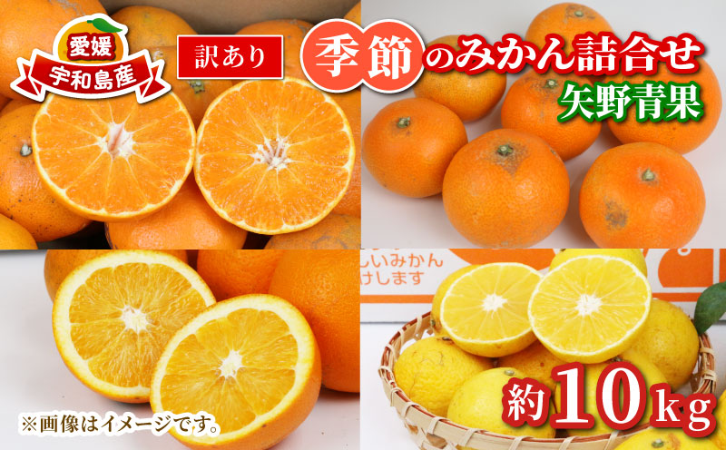 訳あり 季節 の みかん 詰合せ 10kg 矢野青果 フルーツ 詰め合わせ セット 柑橘 ミカン 蜜柑 mikan 果物 くだもの 愛媛みかん 愛媛蜜柑 濃厚みかん 産地直送 数量限定 国産 愛媛 宇和島 B010-171033