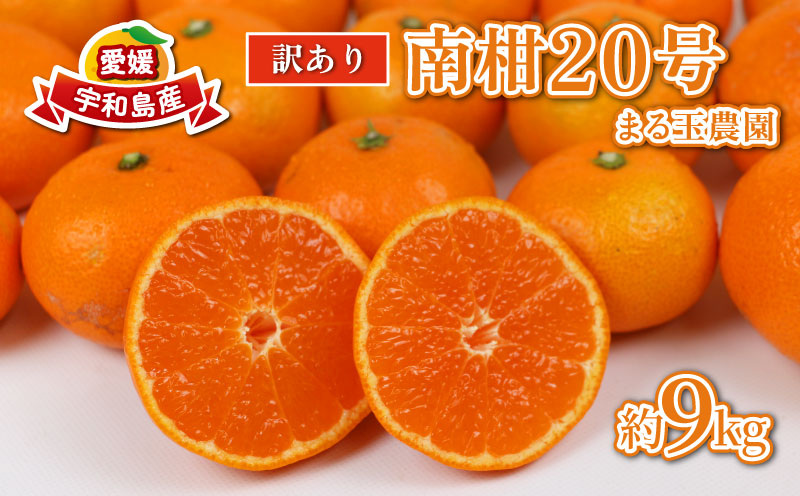 訳あり みかん 南柑20号 9kg まる玉農園 温州みかん 蜜柑 温州 うんしゅう 柑橘 濃厚 甘い mikan 酸味 果物 くだもの 訳アリ 訳あり品 訳有り わけあり 愛媛みかん 愛媛ミカン 愛媛県産 フルーツ 産地直送 農家直送 数量限定 国産 愛媛 宇和島 B010-172001