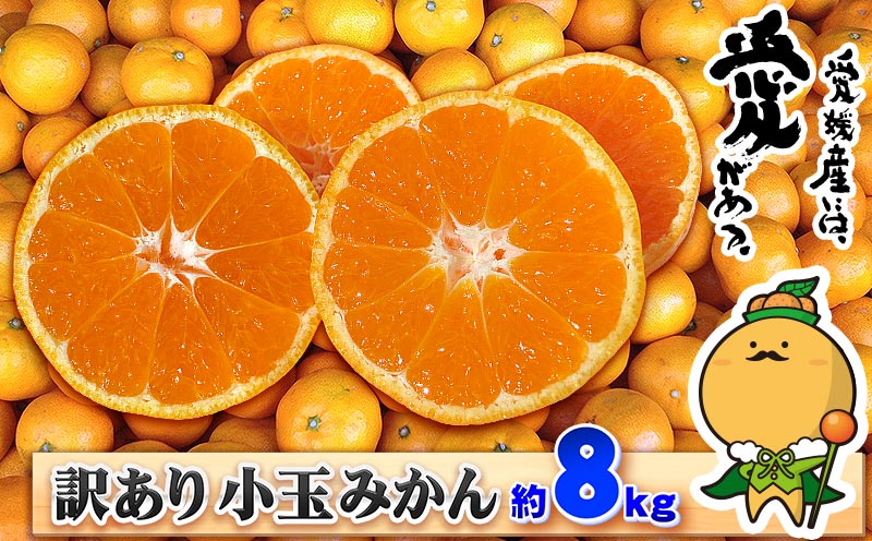 小玉みかん 訳あり 小玉 みかん 8kg 中井屋 わけあり 訳あり品 訳アリ 先行予約 温州みかん 温州蜜柑 愛媛みかん 愛媛ミカン 愛媛蜜柑 mikan 小粒 小粒みかん 小みかん 果物 くだもの フルーツ 柑橘 蜜柑 温州 早生 南柑 産地直送 数量限定 国産 愛媛 宇和島 B010-173002