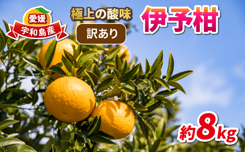 訳あり 伊予柑 約8kg 協徳ガーデン 先行予約 予約受付 訳アリ わけあり いよかん 蜜柑 mikan 愛媛みかん 愛媛蜜柑 愛媛ミカン 柑橘 果物 くだもの ミカン 宇和島みかん フルーツ 数量限定 産地直送 農家直送 数量限定 国産 愛媛 宇和島 B010-178006