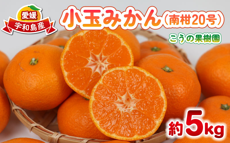 小玉みかん 南柑20号 5kg こうの果樹園 B010-182003