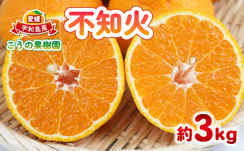 不知火 3kg こうの果樹園 しらぬい 柑橘 取り寄せ 春のみかん ミカン みかん mikan 蜜柑 フルーツ 果物 くだもの お取り寄せ 産地直送 数量限定 国産 愛媛 宇和島 B010-182006