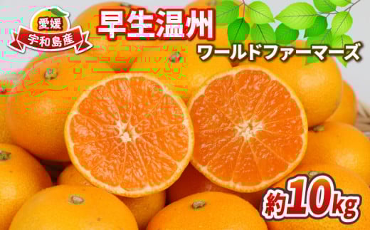 愛媛 みかん 早生 温州 10kg ワールドファーマーズ B012-024001
