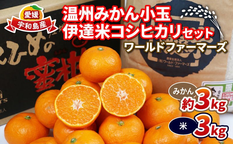 みかん 3kg 特別栽培米 コシヒカリ 伊達米 3kg 詰め合わせ セット ワールドファーマーズ 温州みかん 米 ミカン 蜜柑 mikan 愛媛みかん 愛媛蜜柑 愛媛県産 柑橘 果物 くだもの フルーツ 柑橘 農家直送 産地直送 数量限定 国産 愛媛 宇和島 B012-024003