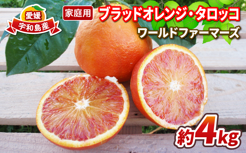 ブラッドオレンジ タロッコ 家庭用 4kg 愛媛みかん ワールドファーマーズ 人気みかん 先行予約 ブラッド オレンジ ブラッドオレンジタロッコ 愛媛ミカン 愛媛蜜柑 蜜柑 みかん mikan 果物 くだもの フルーツ 柑橘 数量限定 産地直送 国産 愛媛 宇和島 B012-024012