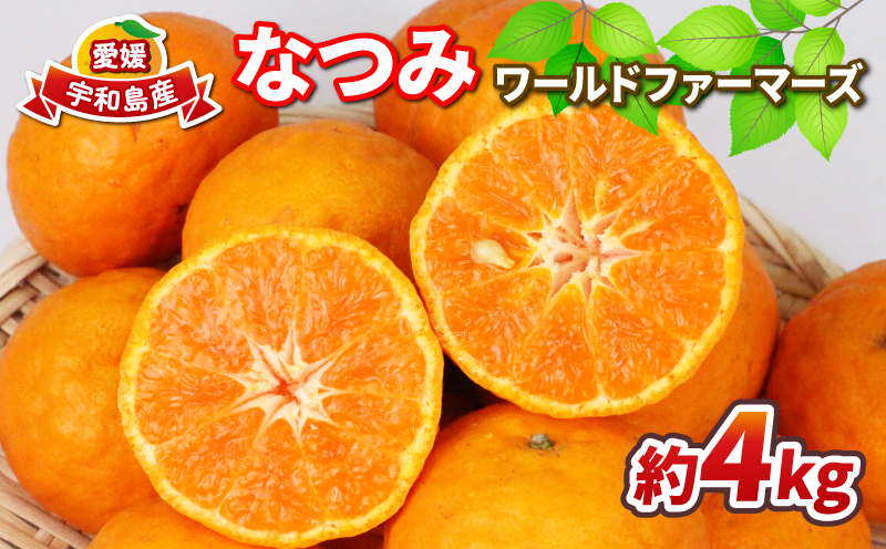なつみ 家庭用 4kg ワールドファーマーズ 先行予約 初夏のみかん 人気みかん 南津海 マンダリン高級 ブランド 希少 品種 愛媛ミカン 愛媛蜜柑 蜜柑 みかん mikan 果物 くだもの フルーツ 柑橘 数量限定 産地直送 国産 愛媛 宇和島 B012-024013