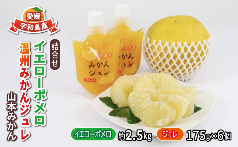 イエローポメロ 2.5kg 4 ～ 5個 温州 みかん ジュレ 6個 詰め合わせ セット 山本みかん 果物 フルーツ 柑橘 国産 愛媛 宇和島 B012-038004