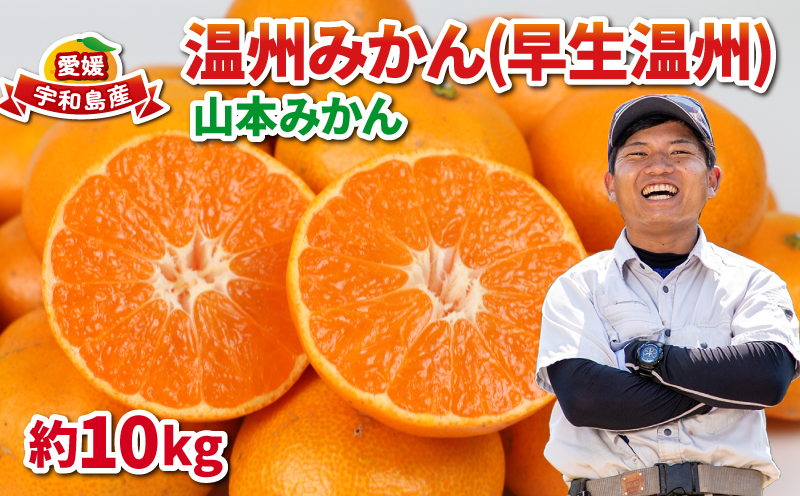 愛媛 みかん 早生温州 10kg 家庭用 山本みかん 温州みかん 予約受付 早生 温州 蜜柑 果物 フルーツ 柑橘 産地直送 農家直送 数量限定 国産 宇和島 B012-038010