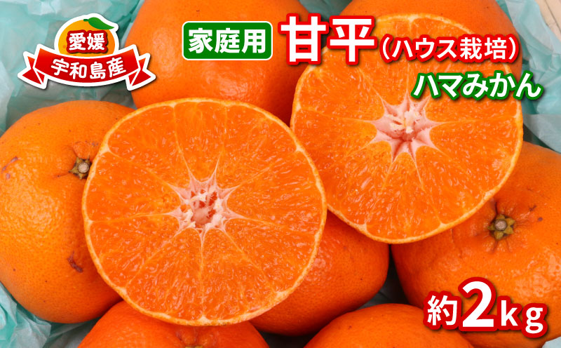 甘平 高級柑橘 2kg 家庭用 ハウス栽培 ハマみかん 先行予約 愛媛県 オリジナル かんぺい 高級 希少 限定 品種 シャキシャキ 甘い 果物 フルーツ 柑橘 みかん  蜜柑 愛媛ミカン 愛媛蜜柑 愛媛みかん 農家直送 産地直送 数量限定 国産 愛媛 宇和島 B012-075002