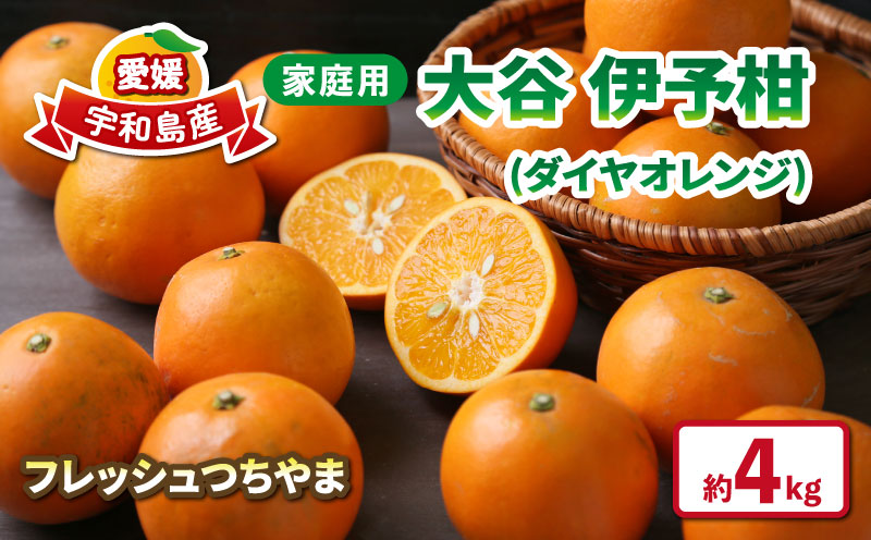 大谷 伊予柑 4kg 家庭用 フレッシュつちやま 先行予約 ダイヤ オレンジ おおたに いよかん 伊予かん 希少 果物 くだもの フルーツ 柑橘 みかん 蜜柑 愛媛みかん 愛媛蜜柑 愛媛ミカン 吉田みかん 宇和島みかん 産地直送 数量限定 国産 愛媛 宇和島 B012-096033