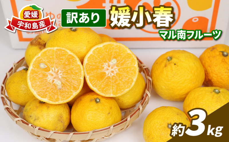 訳あり 媛小春 3kg 先行予約 希少 高級 愛媛県 限定 品種 マル南フルーツ サイズ 不揃い わけあり 愛媛みかん 愛媛ミカン 愛媛蜜柑 mikan 高級柑橘 訳ありみかん 果物 くだもの フルーツ 柑橘 みかん 産地直送 数量限定 国産 愛媛 宇和島 B012-106005