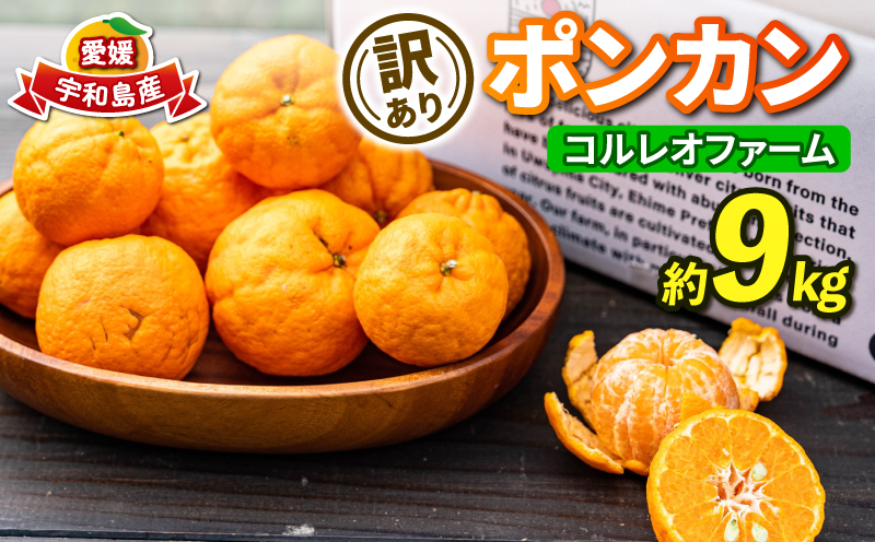 訳あり ポンカン 9kg コルレオファーム わけあり訳あり品 訳有り 訳アリ 愛媛みかん 愛媛ミカン みかん フルーツ 柑橘 蜜柑 mikan 果物 くだもの 甘い コク 人気のみかん 美味しい 産地直送 数量限定 先行予約 国産 愛媛 愛媛県 宇和島 B012-145010