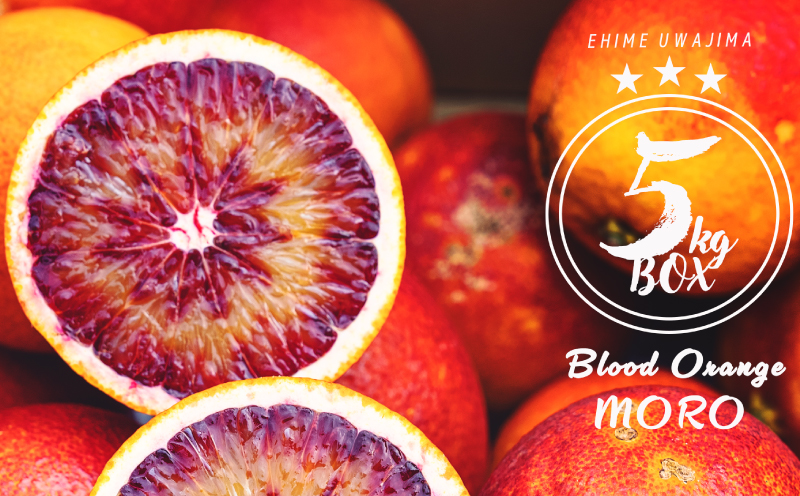 訳あり ブラッド オレンジ モロ 5kg コルレオファーム わけあり 訳あり品 訳有り 訳アリ 愛媛みかん 愛媛ミカン みかん フルーツ 柑橘 蜜柑 果物 くだもの 甘い コク 人気のみかん 美味しい 産地直送 数量限定 国産 愛媛 愛媛県 宇和島 B012-145024