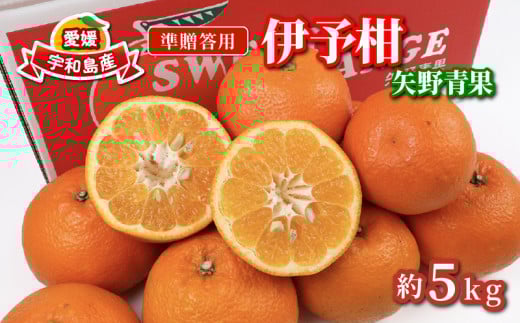 準 贈答用 伊予柑 みかん 5kg 矢野青果 いよかん 果物 くだもの フルーツ 濃厚 甘い 甘味 蜜柑 準贈答用 贈答品 贈答 ギフト プレゼント 産地直送 農家直送 数量限定 国産 愛媛 宇和島 B012-171011