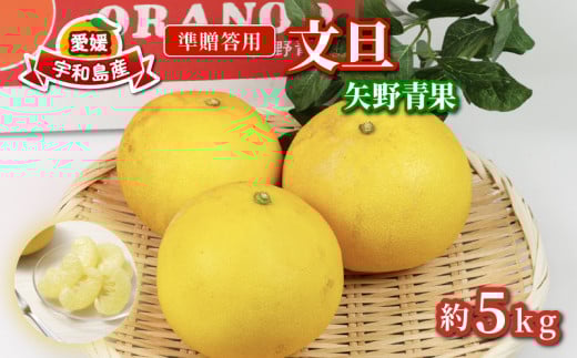準 贈答用 文旦 5kg 矢野青果 ザボン ぶんたん ボンタン 果物 くだもの フルーツ さっぱり 酸味 蜜柑 準贈答用 贈答品 贈答 ギフト プレゼント 産地直送 農家直送 数量限定 国産 愛媛 宇和島 B012-171012