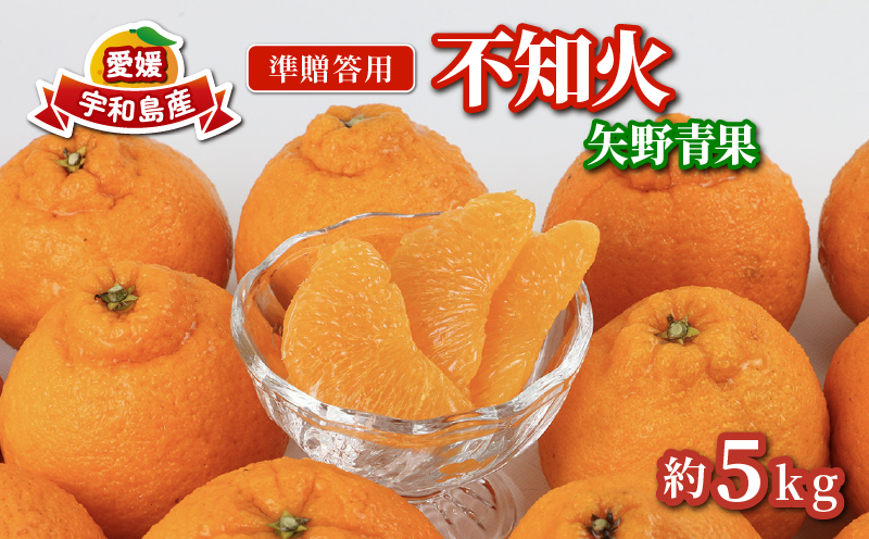 準 贈答用 不知火 5kg 矢野青果 先行予約 しらぬい 高級 希少 限定 品種 ブランド 高級柑橘 甘い 果物 くだもの フルーツ 柑橘 みかん 蜜柑 愛媛蜜柑 愛媛みかん mikan 贈答 ギフト プレゼント 産地直送 数量限定 国産 愛媛 愛媛県 宇和島 B012-171018