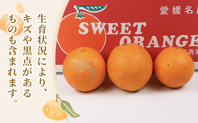 ネーブルオレンジ 5kg 準 贈答用 矢野青果 ネーブル オレンジ オレンジ みかん 柑橘 果物 くだもの フルーツ 濃厚 甘い 甘味 蜜柑 愛媛蜜柑 愛媛みかん mikan 贈答品 贈答 ギフト プレゼント 産地直送 農家直送 数量限定 国産 愛媛 宇和島 B012-171019