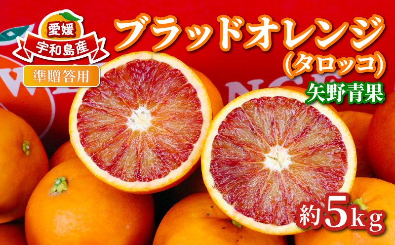 準 贈答用 ブラッドオレンジ タロッコ 5kg 矢野青果 先行予約 オレンジ みかん 柑橘 果物 くだもの オレンジフルーツ フルーツ 濃厚 甘い 甘味 蜜柑 準贈答用 贈答品 贈答 ギフト プレゼント 産地直送 農家直送 数量限定 国産 愛媛 宇和島 B012-171020