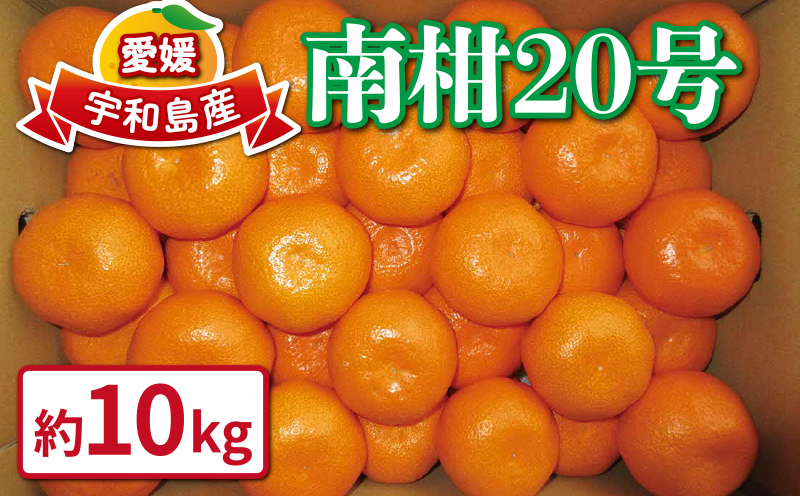 愛媛みかん 南柑20号 10kg 甘い 美味しい ワールドファーマーズ 先行予約 温州 みかん うんしゅう 温州みかん 愛媛ミカン 愛媛蜜柑 愛媛県産みかん みかん 蜜柑 mikan 果物 くだもの フルーツ 柑橘 数量限定 産地直送 国産 愛媛 宇和島 B015-024002