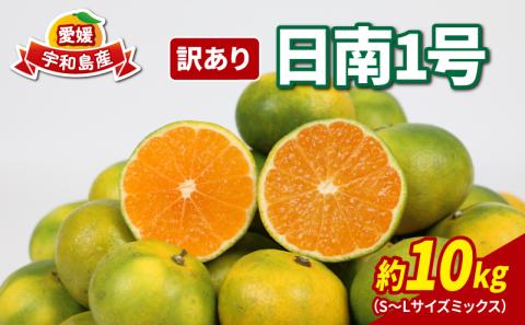 訳あり 極早生 みかん 日南1号 10kg 先行予約 S~L サイズ ミックス 不揃い 玉津みかん ニュービジネスユニット 温州みかん 温州 果物 フルーツ 柑橘 農家直送 産地直送 数量限定 国産 愛媛 宇和島 B015-058008