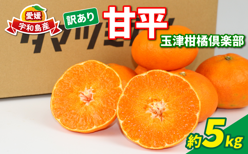 訳あり 甘平 5kg 玉津柑橘倶楽部 愛媛みかん 愛媛蜜柑 愛媛ミカン 完熟 高級 大粒 限定 品種 希少 ブランド シャキシャキ 玉津 みかん mikan 予約受付 果物 フルーツ 柑橘 濃厚 甘い 蜜柑 産地直送 数量限定 国産 愛媛 愛媛県産 宇和島 B015-072027