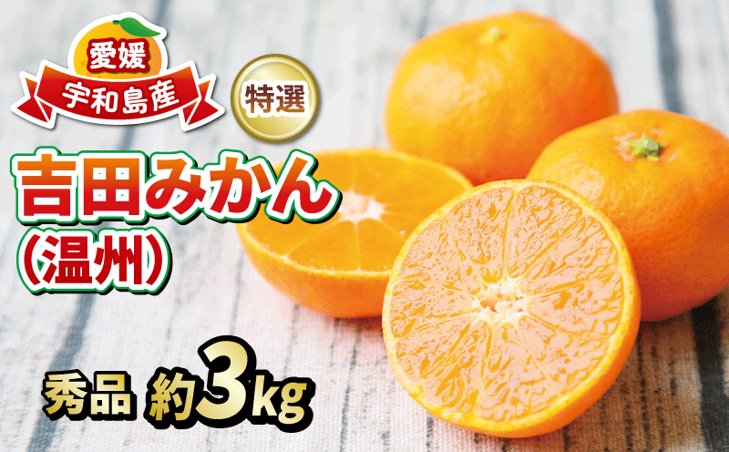 愛媛 みかん 贈答用 秀品 3kg フレッシュつちやま 特選 温州 温州みかん 贈答用みかん 早生 早生温州 南柑20号 贈答品 ギフト プレゼント 高級 果物 くだもの フルーツ 柑橘 蜜柑 愛媛みかん 愛媛蜜柑 愛媛ミカン 農家直送 産地直送 数量限定 国産 愛媛 愛媛県産 宇和島 B015-096004