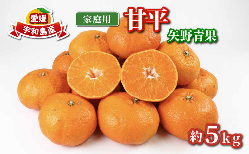 甘平 5kg 家庭用 矢野青果 先行予約 高級 希少 限定 品種 ブランド 高級柑橘 甘い シャキシャキ かんぺい 希少 果物 くだもの フルーツ 柑橘 みかん 蜜柑 愛媛蜜柑 愛媛みかん mikan 農家直送 産地直送 数量限定 国産 愛媛 愛媛県 宇和島 B015-171009