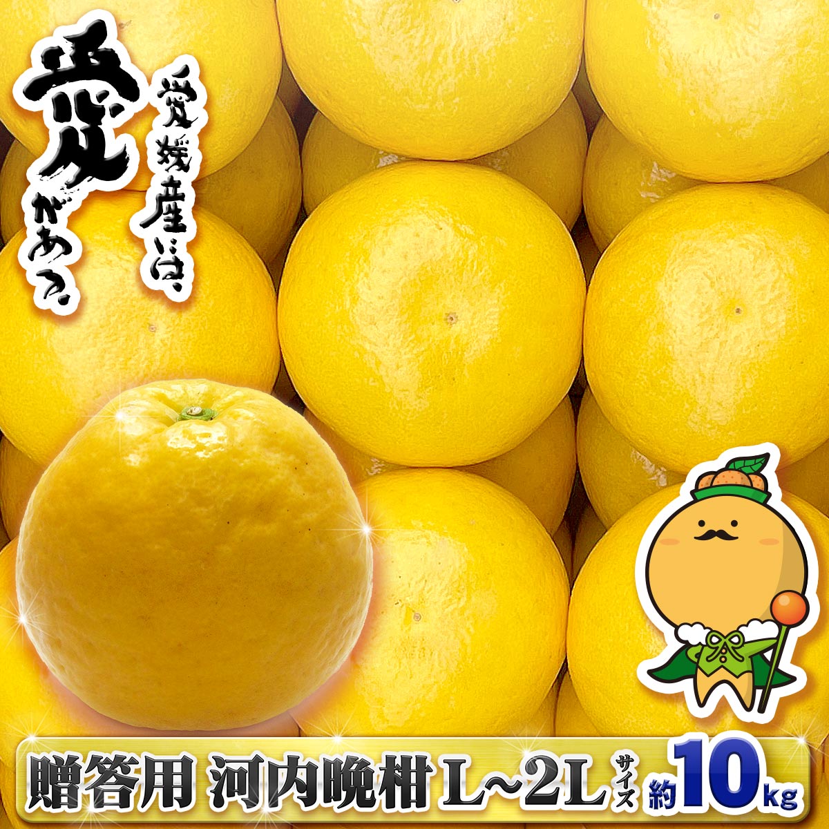河内晩柑 贈答用 10kg L?2L 中井屋 果物 くだもの みかん 蜜柑 mikan フルーツ B015-173007
