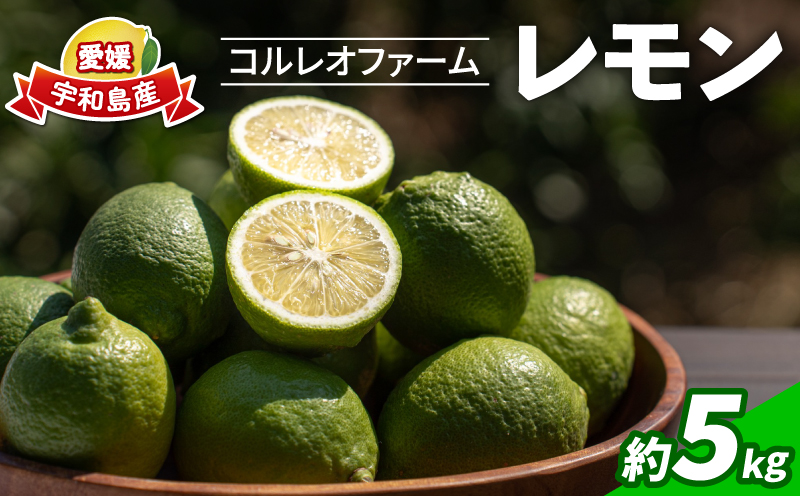レモン 5kg コルレオファーム 国産 防腐剤 ・ ワックス 不使用 国産レモン 先行予約 青レモン れもん remon 檸檬 レモン果汁 酸味 果物 くだもの ビタミン サワー ジュース チューハイ 健康 フルーツ 柑橘 農家直送 産地直送 数量限定 愛媛 宇和島 B016-145014