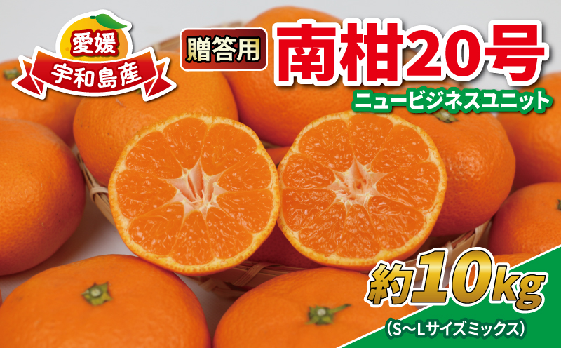 みかん 10kg 贈答用 優品 愛媛 南柑20号 S～L サイズ ミックス 玉津みかん ニュービジネスユニット 先行予約 温州 温州みかん 果物 くだもの フルーツ 柑橘 蜜柑 mikan 温州 愛媛ミカン 愛媛蜜柑 愛媛みかん 国産 産地直送 数量限定 宇和島 B018-058005