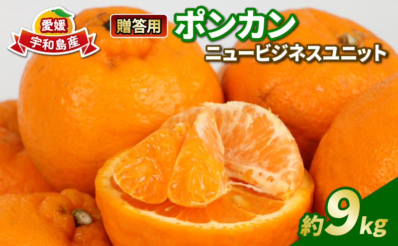 ポンカン 先行予約 贈答用 優品 9kg S~L サイズ ミックス 玉津みかん ニュービジネスユニット 甘い みかん ミカン 果物 くだもの フルーツ 柑橘 みかん 蜜柑 mikan 愛媛ミカン 愛媛蜜柑 愛媛みかん 農家直送 産地直送 数量限定 国産 愛媛 宇和島 B018-058006