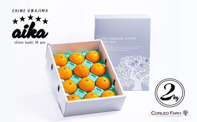 愛果28号 2kg コルレオファーム 愛媛みかん 先行予約 あいか 高級柑橘 愛媛ミカン 愛媛蜜柑 みかん フルーツ 柑橘 蜜柑 mikan 濃厚 プルプル 美味しい 果物 くだもの 美味しいみかん 濃厚みかん 産直 産地直送 数量限定 国産 愛媛 愛媛県 宇和島 B018-145021