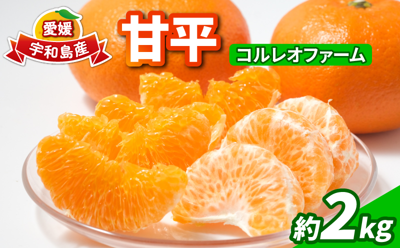 甘平 2kg コルレオファーム 愛媛みかん 甘い 平たい 高級 高級柑橘 希少 限定 品種 シャキシャキ 果物 くだもの 先行予約 mikan フルーツ 柑橘 かんきつ みかん ミカン 蜜柑 かんぺい お取り寄せ 産直 産地直送 数量限定 国産 愛媛 愛媛県 宇和島 B018-145022