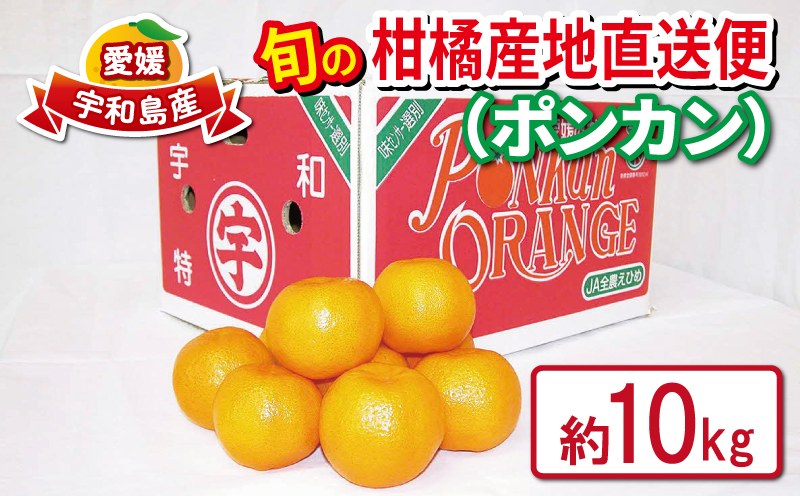 ポンカン 愛媛みかん 秀品 10kg えひめ南農業協同組合直販センター JA 先行予約 みかん mikan 甘い コク ジューシー 酸味 美味しい 産直 ぽんかん ミカン 蜜柑 果物 フルーツ 愛媛ミカン 愛媛蜜柑 柑橘 農家直送 産地直送 数量限定 国産 愛媛 宇和島 B020-009003