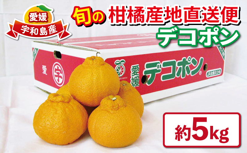 【先行予約】 デコポン 不知火 秀品 5kg 先行予約 えひめ南農業協同組合直販センター JA みかん 蜜柑 mikan 果物 B020-009005