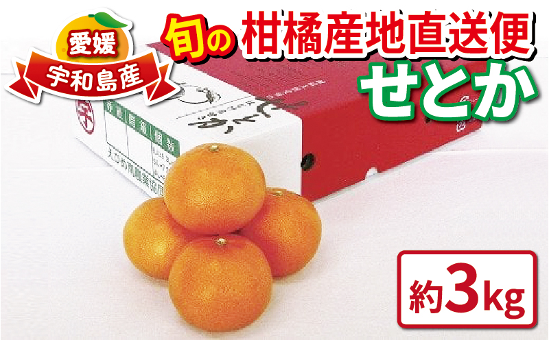 せとか 秀品 3kg 先行予約 えひめ南農業協同組合直販センター JA  せとか みかん せとか 蜜柑 せとか B020-009006