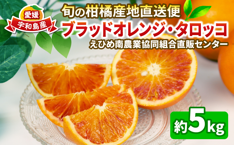 ブラッドオレンジ タロッコ 5kg 秀品 えひめ南農業協同組合直販センター JA 先行予約 オレンジ ブラッド 蜜柑 みかん mikan 果物 くだもの フルーツ 愛媛ミカン 愛媛蜜柑 愛媛みかん 柑橘 農家直送 産地直送 数量限定 国産 愛媛 宇和島 B020-009007