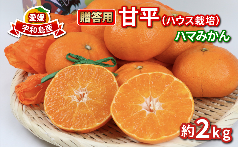 【先行予約】甘平 高級柑橘 2kg 贈答用 ハウス栽培  ハマみかん ハウス 蜜柑 mikan B020-075006