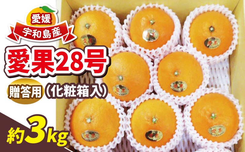 贈答用蜜柑 愛果28号 3kg 化粧箱入 南予ファーム 贈答用みかん 愛媛みかん 愛媛ミカン 愛媛蜜柑 ハウスみかん ハウス蜜柑 高級 ブランド 限定 品種 甘い ゼリー プルプル 果物 くだもの フルーツ 柑橘 みかん mikan 農家直送 国産 愛媛 宇和島 B022-082002