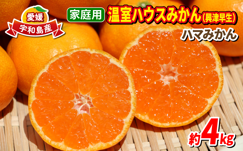 温室みかん 興津 早生 4kg 家庭用 ハマみかん 先行予約 温州みかん みかん 興津早生 早生温州 ハウス栽培 ハウスみかん ハウス蜜柑 果物 フルーツ 柑橘 蜜柑 愛媛ミカン 愛媛蜜柑 愛媛みかん 農家直送 産地直送 数量限定 国産 愛媛 宇和島 B025-075007