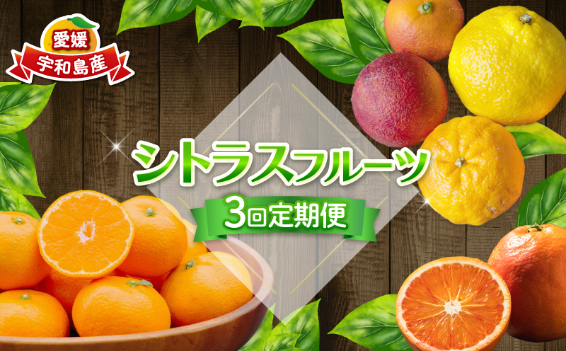 シトラス フルーツ 3回 定期便 コルレオファーム 南柑20号 ブラッドオレンジ モロ 甘平 はるか ポンカン タロッコ せとか 清見 不知火 詰め合わせ 愛媛ミカン 愛媛みかん みかん 柑橘 蜜柑 mikan 温州 果物 くだもの 温州蜜柑 産地直送 数量限定 先行予約 国産 愛媛 宇和島 B034-145017