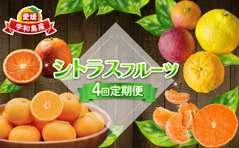 シトラス フルーツ 4回 定期便 コルレオファーム 宮川早生 南柑20号 ブラッドオレンジ モロ 甘平 はるか ポンカン タロッコ せとか 清見 不知火 詰め合わせ 愛媛ミカン 愛媛みかん みかん 柑橘 蜜柑 mikan 温州 果物 くだもの 温州蜜柑 産地直送 数量限定 先行予約 国産 愛媛 宇和島 B044-145018