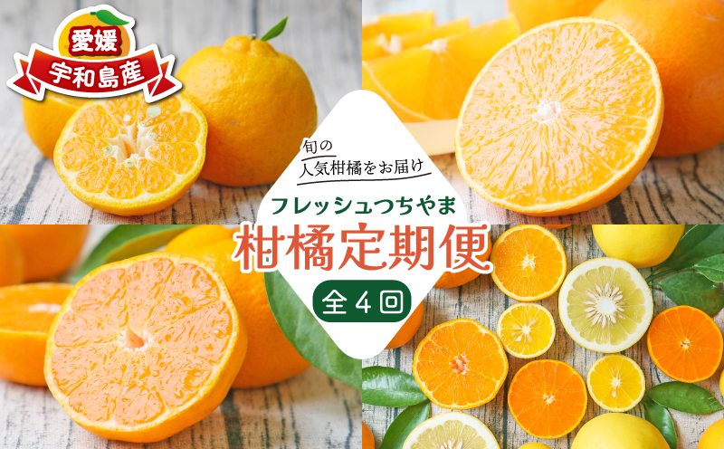 旬の柑橘 定期便 全4回 吉田みかん 愛果28号 ポンカン おまかせ詰合せ フレッシュつちやま  果物 フルーツ 柑橘 みかん 農家直送 産地直送 数量限定 国産 愛媛 宇和島 B048-096020