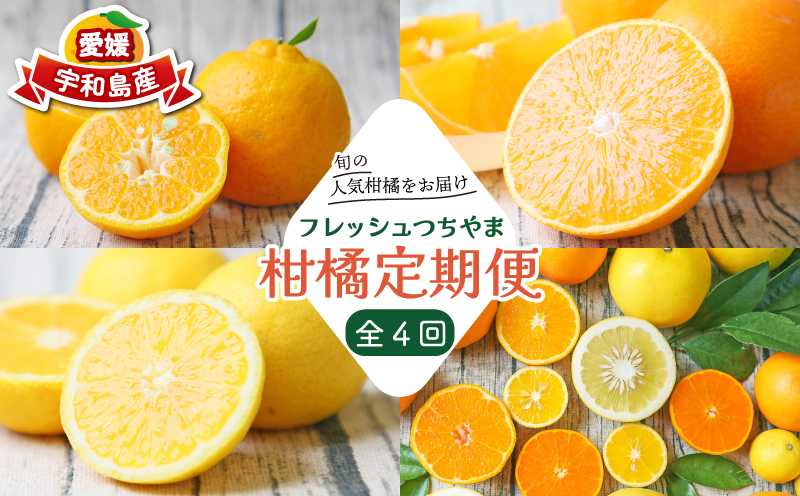 旬の柑橘 定期便 全4回 愛果28号 ポンカン おまかせ詰合せ 黄金柑 フレッシュつちやま  果物 フルーツ 柑橘 みかん 農家直送 産地直送 数量限定 国産 愛媛 宇和島 B048-096021