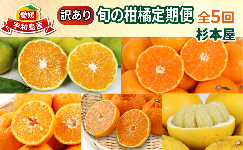 訳あり 旬 の 柑橘定期便 全5回 杉本屋 わけあり みかん定期便 極早生 完熟みかん 柑橘 みかん ポンカン 不知火 完熟 温州みかん 土佐文旦 文旦 ていきびん mikan 愛媛みかん 愛媛ミカン 愛媛蜜柑 早生温州 温州 甘い 果物 フルーツ 柑橘 蜜柑 産地直送 数量限定 国産 愛媛 宇和島 B050-143025